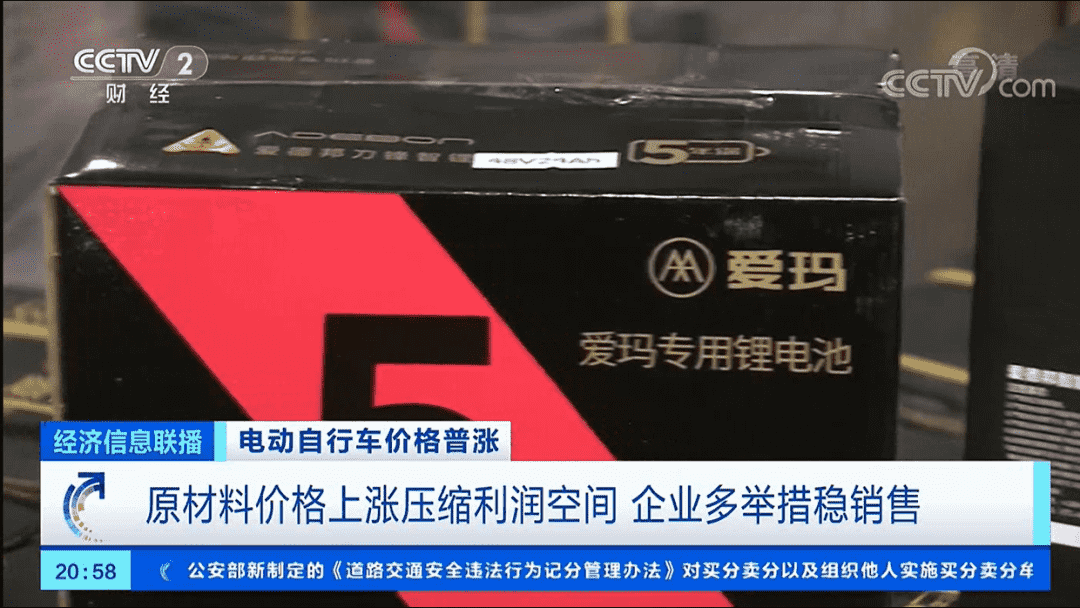 电动自行车十大品牌，十大电动自行车品牌排行榜