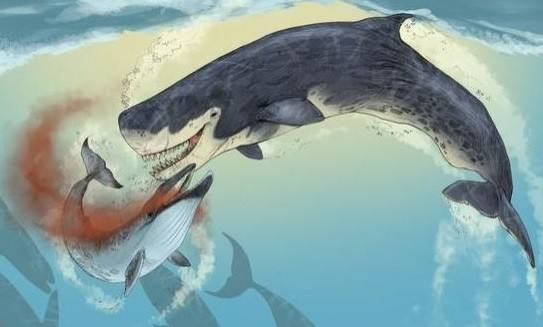 海洋十大霸主排名，海洋10大霸主排行榜