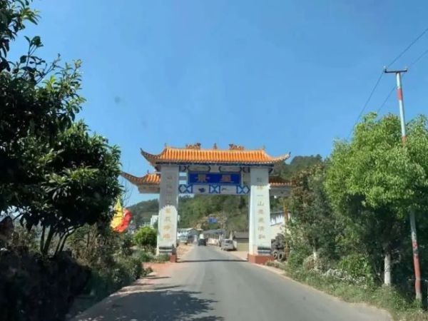 普洱茶十大名牌价格表(2022年价格最贵的十大普洱茶)