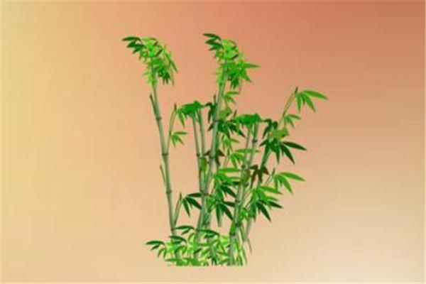 十大极品混沌灵根(混沌十大灵根排行榜)