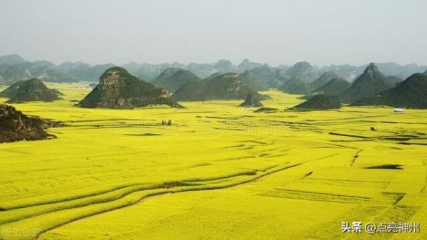 全国十大宜居城市(全国宜居城市前十名)