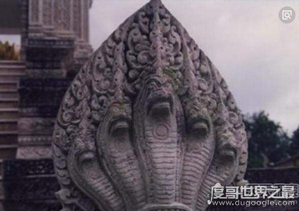 世界上最怪异的蛇（世界十大最奇特的蛇盘点）