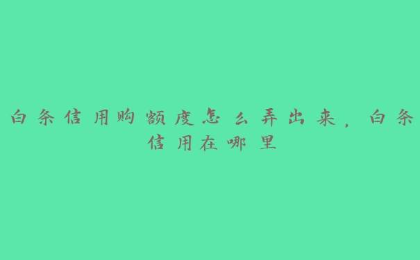 白条信用购额度怎么弄出来，白条信用在哪里