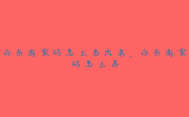 白条商家码怎么套出来,白条商家码怎么弄 白条商家码怎么套出来,白条商家码怎么弄