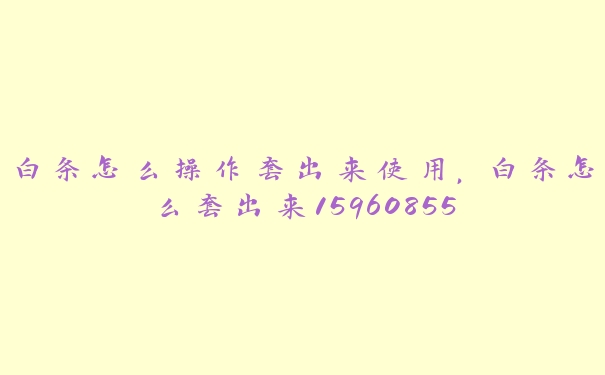 白条怎么操作套出来使用，白条怎么套出来15960855