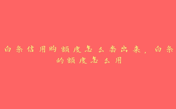 白条信用购额度怎么套出来，白条的额度怎么用