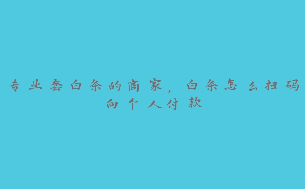 专业套白条的商家，白条怎么扫码向个人付款