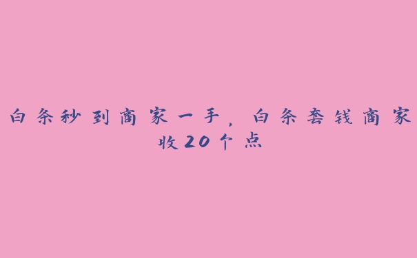 白条秒到商家一手，白条套钱商家收20个点