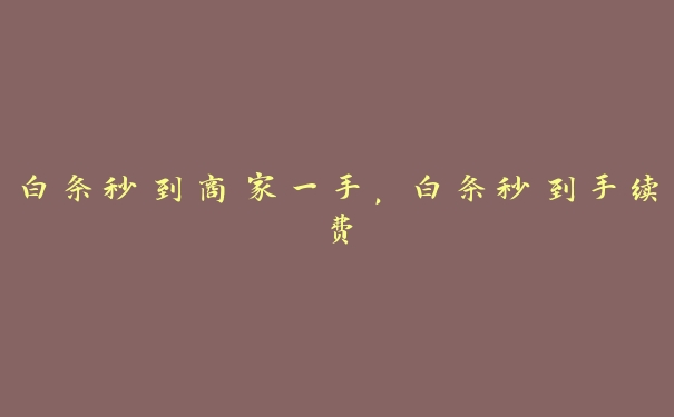 白条秒到商家一手,白条秒到手续费 白条秒到商家一手,白条秒到手续费