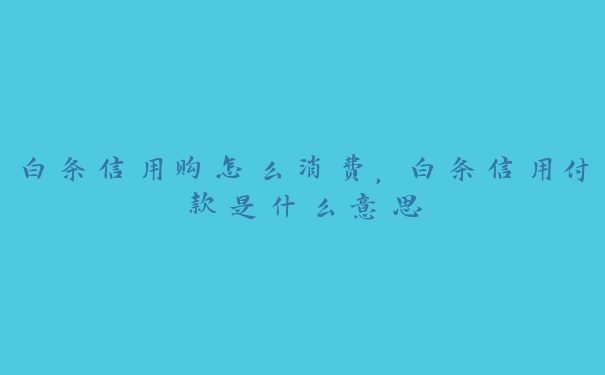 白条信用购怎么消费,白条信用付款是什么意思 白条信用购怎么消费,白条信用付款是什么意思