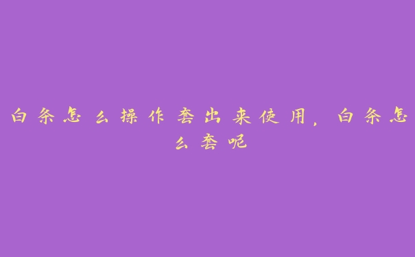 白条怎么操作套出来使用,白条怎么套呢 白条怎么操作套出来使用,白条怎么套呢