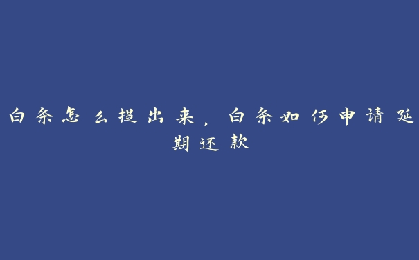 白条怎么提出来，白条如何申请延期还款