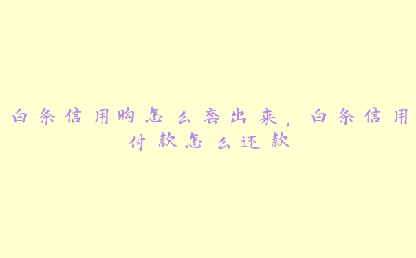 白条信用购怎么套出来,白条信用付款怎么还款 白条信用购怎么套出来,白条信用付款怎么还款