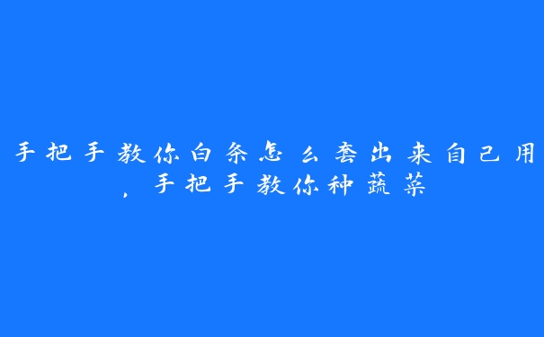 手把手教你白条怎么套出来自己用,手把手教你种蔬菜 手把手教你白条怎么套出来自己用,手把手教你种蔬菜