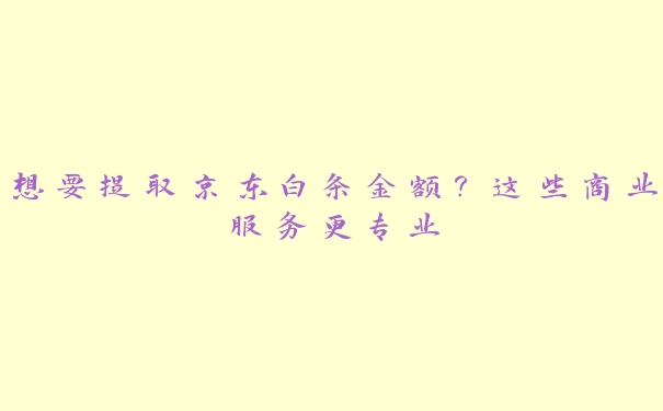 想要提取京东白条金额?这些商业服务更专业 想要提取京东白条金额?这些商业服务更专业