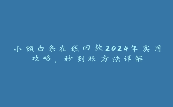 小额白条在线回款2024年实用攻略,秒到账方法详解 小额白条在线回款2024年实用攻略,秒到账方法详解