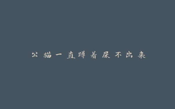 公猫一直蹲着尿不出来