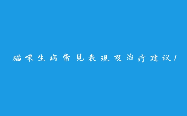 猫咪生病常见表现及治疗建议! 猫咪生病常见表现及治疗建议!