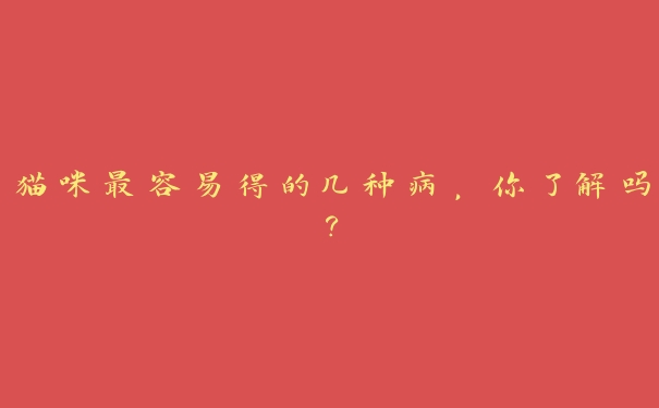 猫咪最容易得的几种病，你了解吗？