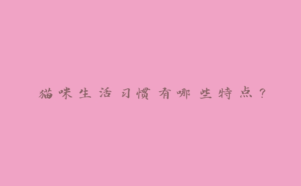 猫咪生活习惯有哪些特点? 猫咪生活习惯有哪些特点?