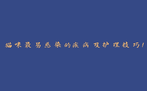 猫咪最易感染的疾病及护理技巧！