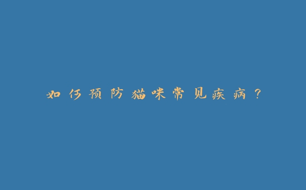 如何预防猫咪常见疾病? 如何预防猫咪常见疾病?
