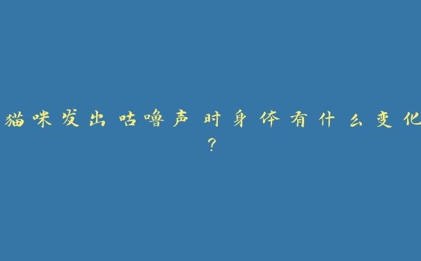 猫咪发出咕噜声时身体有什么变化? 猫咪发出咕噜声时身体有什么变化?