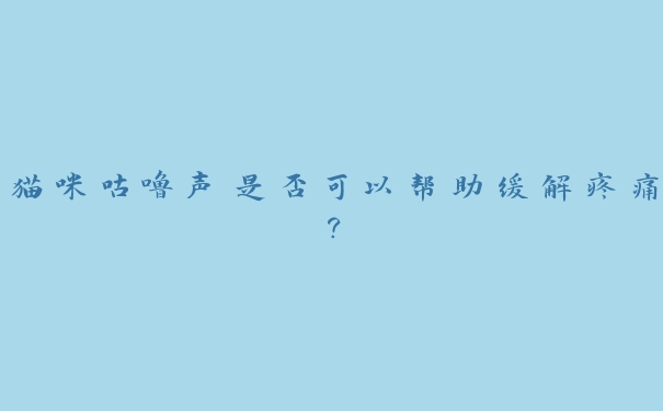 猫咪咕噜声是否可以帮助缓解疼痛? 猫咪咕噜声是否可以帮助缓解疼痛?