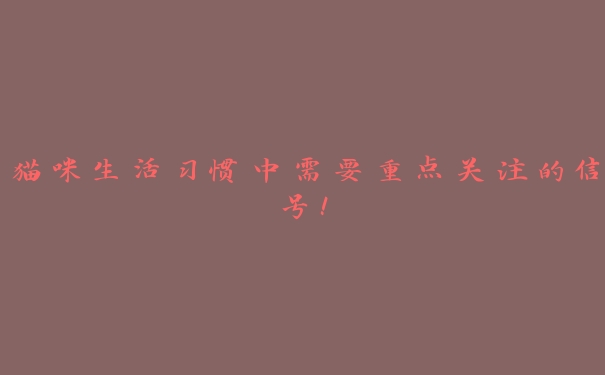 猫咪生活习惯中需要重点关注的信号! 猫咪生活习惯中需要重点关注的信号!