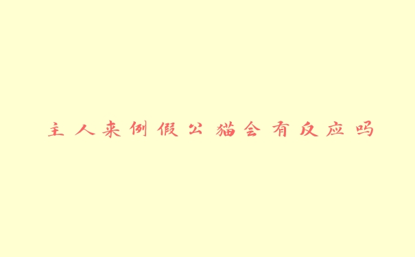 主人来例假公猫会有反应吗 主人来例假公猫会有反应吗