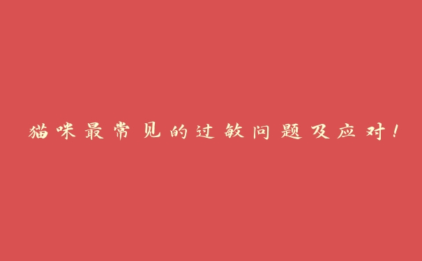 猫咪最常见的过敏问题及应对! 猫咪最常见的过敏问题及应对!