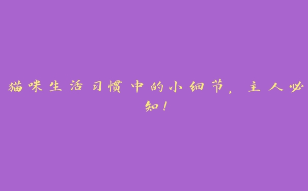 猫咪生活习惯中的小细节,主人必知! 猫咪生活习惯中的小细节,主人必知!