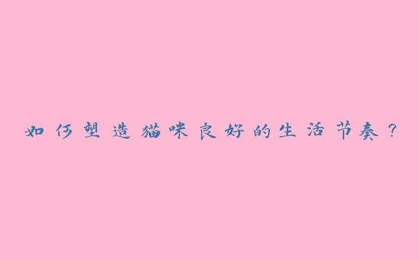 如何塑造猫咪良好的生活节奏? 如何塑造猫咪良好的生活节奏?