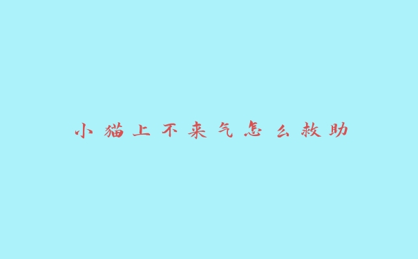 小猫上不来气怎么救助 小猫上不来气怎么救助