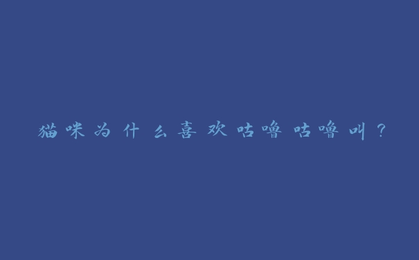猫咪为什么喜欢咕噜咕噜叫? 猫咪为什么喜欢咕噜咕噜叫?