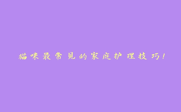 猫咪最常见的家庭护理技巧! 猫咪最常见的家庭护理技巧!