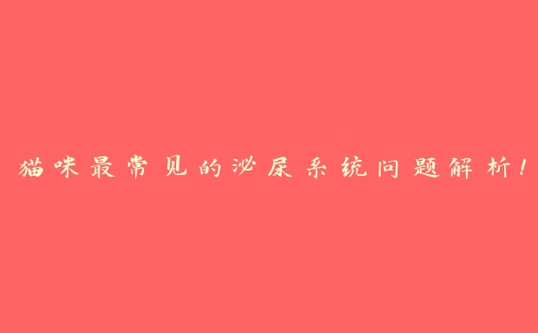 猫咪最常见的泌尿系统问题解析! 猫咪最常见的泌尿系统问题解析!