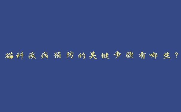 猫科疾病预防的关键步骤有哪些? 猫科疾病预防的关键步骤有哪些?