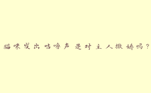猫咪发出咕噜声是对主人撒娇吗? 猫咪发出咕噜声是对主人撒娇吗?