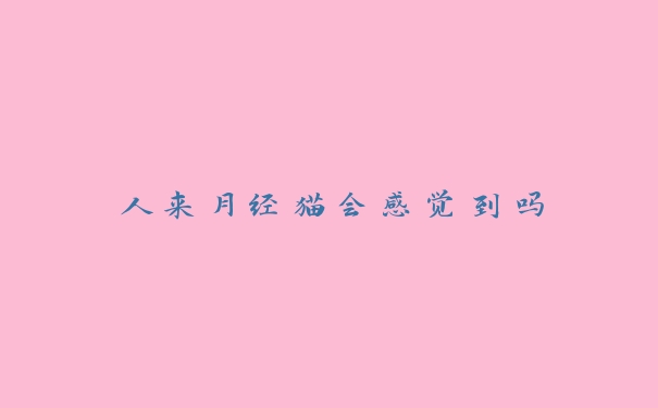人来月经猫会感觉到吗 人来月经猫会感觉到吗