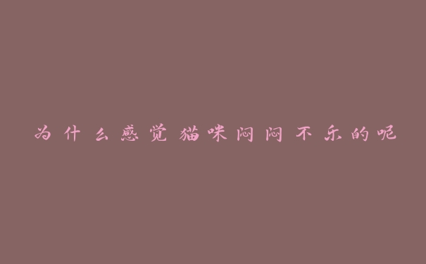 为什么感觉猫咪闷闷不乐的呢 为什么感觉猫咪闷闷不乐的呢
