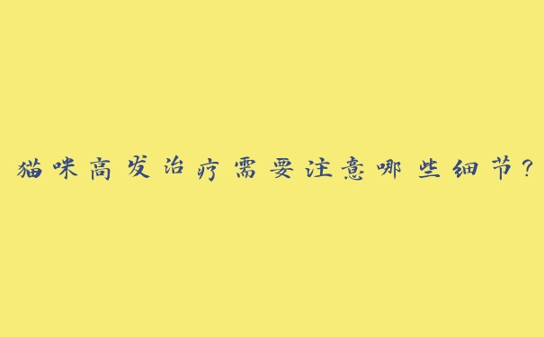 猫咪高发治疗需要注意哪些细节? 猫咪高发治疗需要注意哪些细节?