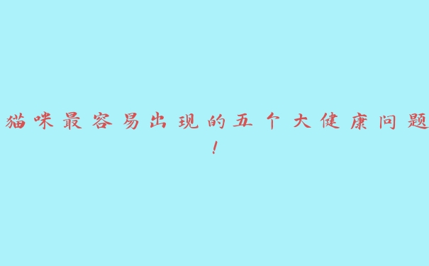 猫咪最容易出现的五个大健康问题! 猫咪最容易出现的五个大健康问题!