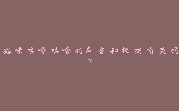 猫咪咕噜咕噜的声音和抚摸有关吗? 猫咪咕噜咕噜的声音和抚摸有关吗?
