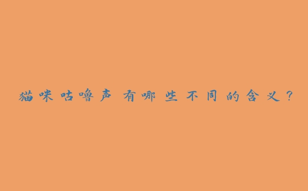 猫咪咕噜声有哪些不同的含义? 猫咪咕噜声有哪些不同的含义?
