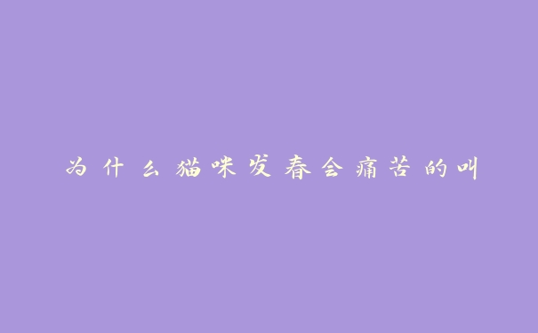 为什么猫咪发春会痛苦的叫 为什么猫咪发春会痛苦的叫