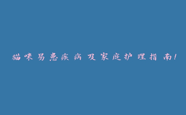 猫咪易患疾病及家庭护理指南! 猫咪易患疾病及家庭护理指南!
