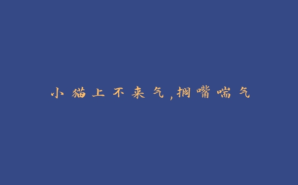 小猫上不来气,搁嘴喘气 小猫上不来气,搁嘴喘气
