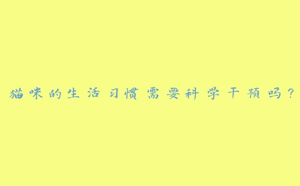 猫咪的生活习惯需要科学干预吗? 猫咪的生活习惯需要科学干预吗?