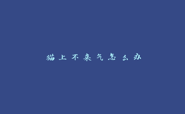 猫上不来气怎么办
